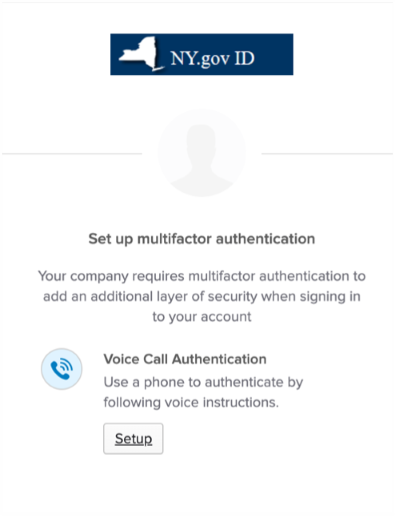 Voice call authentication