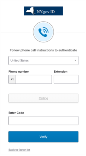 Voice call authentication enter